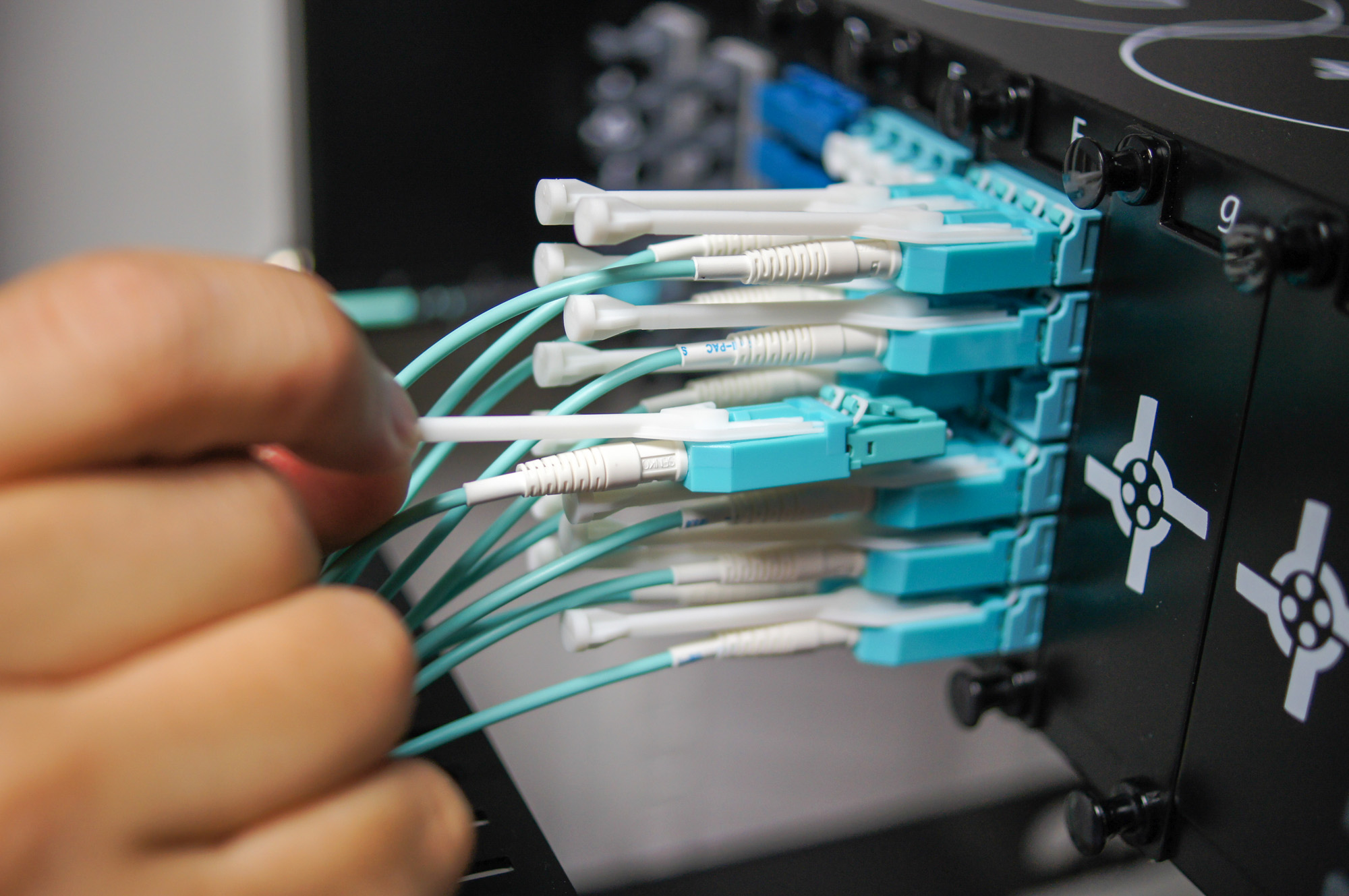 EVO Patch Panels — photo 10